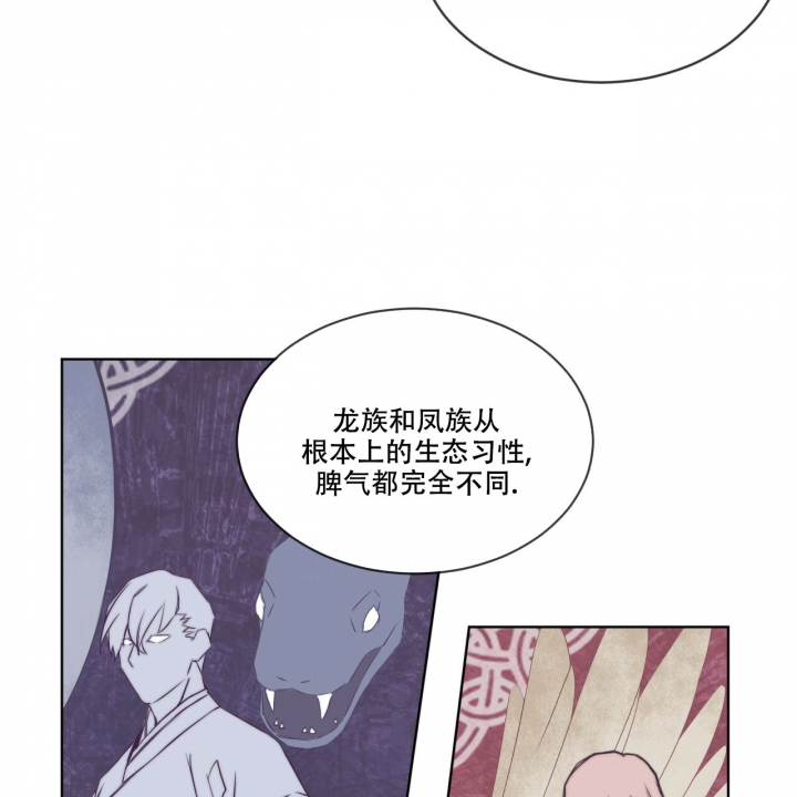 《森林之海》漫画最新章节第1话免费下拉式在线观看章节第【46】张图片