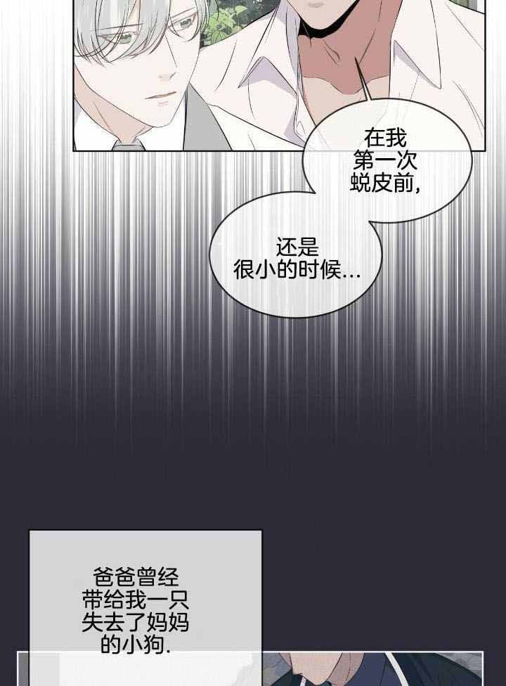 《森林之海》漫画最新章节第15话免费下拉式在线观看章节第【6】张图片