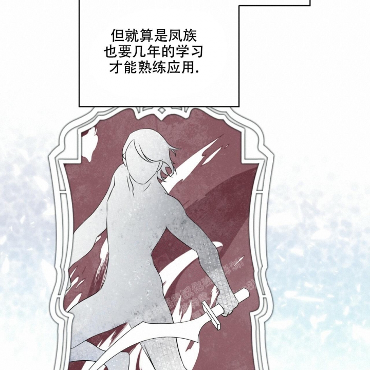 《森林之海》漫画最新章节第9话免费下拉式在线观看章节第【16】张图片