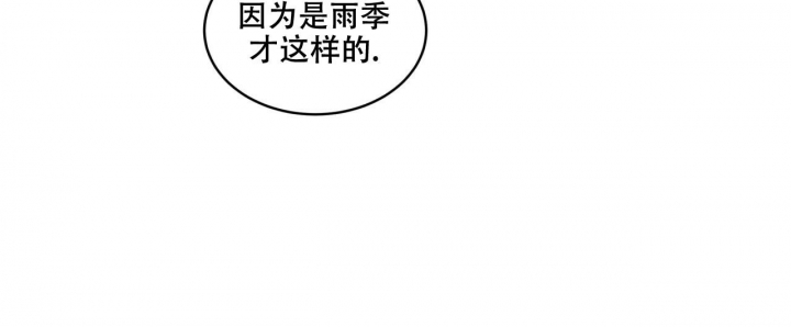 《森林之海》漫画最新章节第12话免费下拉式在线观看章节第【25】张图片