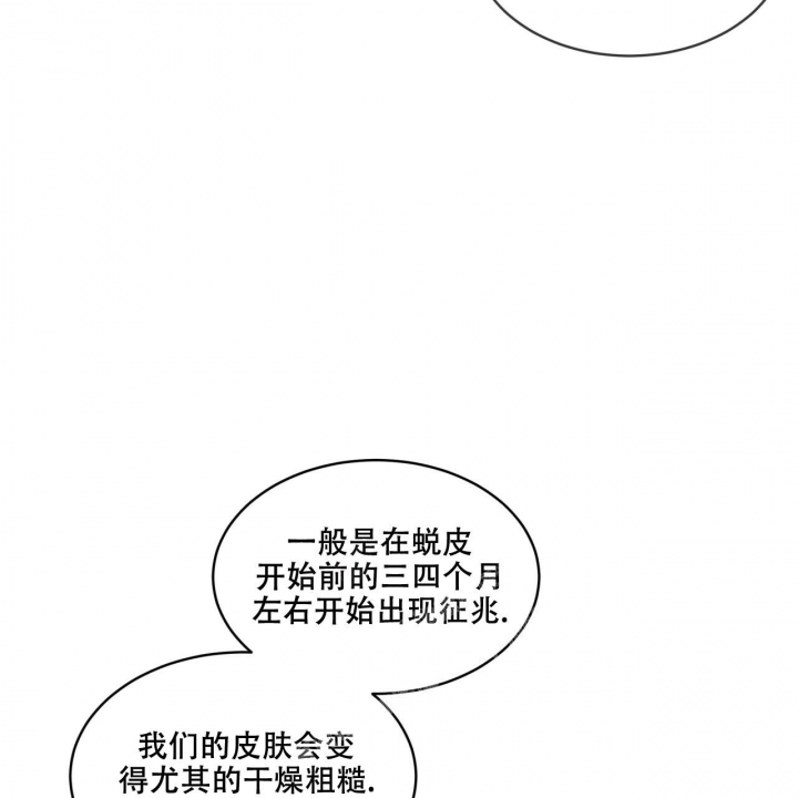 《森林之海》漫画最新章节第12话免费下拉式在线观看章节第【12】张图片