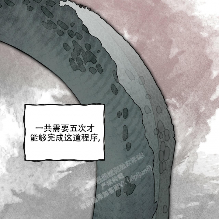 《森林之海》漫画最新章节第9话免费下拉式在线观看章节第【30】张图片