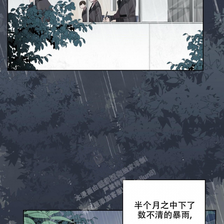 《森林之海》漫画最新章节第11话免费下拉式在线观看章节第【24】张图片