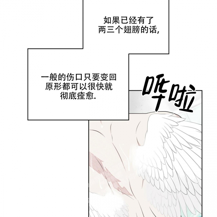 《森林之海》漫画最新章节第8话免费下拉式在线观看章节第【42】张图片