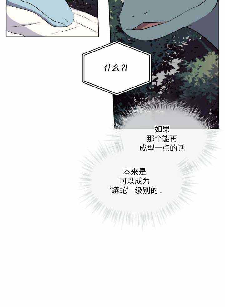 《森林之海》漫画最新章节第22话免费下拉式在线观看章节第【35】张图片