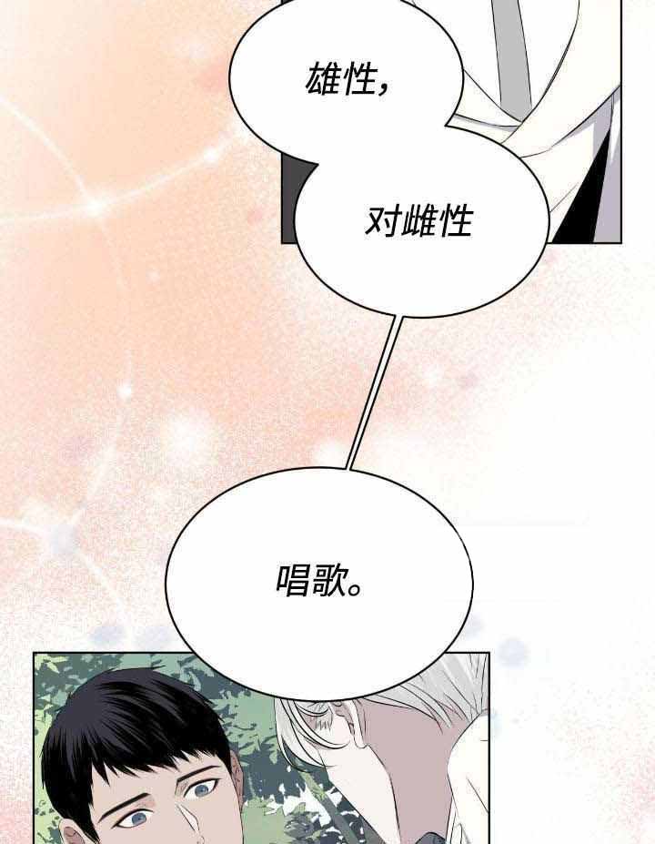 《森林之海》漫画最新章节第20话免费下拉式在线观看章节第【28】张图片