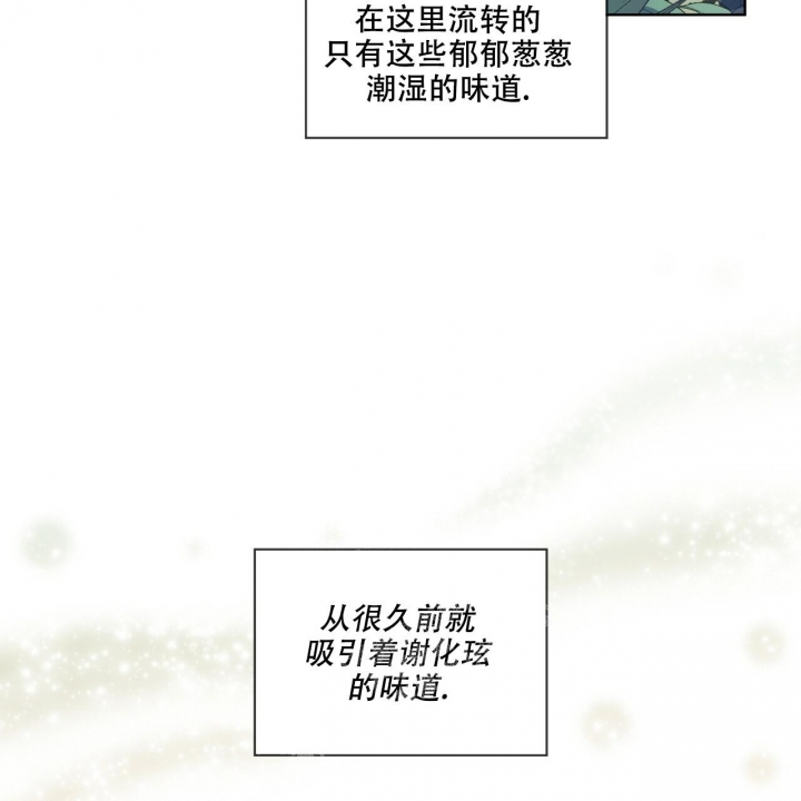 《森林之海》漫画最新章节第8话免费下拉式在线观看章节第【4】张图片