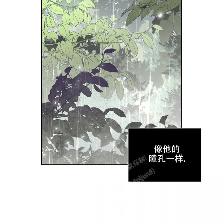 《森林之海》漫画最新章节第14话免费下拉式在线观看章节第【27】张图片