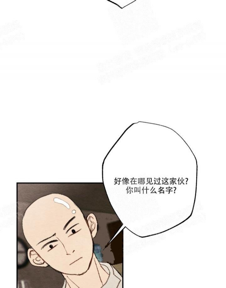 《月刊美少年》漫画最新章节第11话免费下拉式在线观看章节第【19】张图片