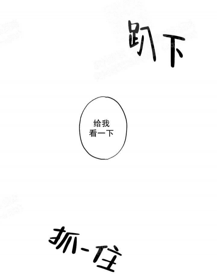 《月刊美少年》漫画最新章节第27话免费下拉式在线观看章节第【14】张图片