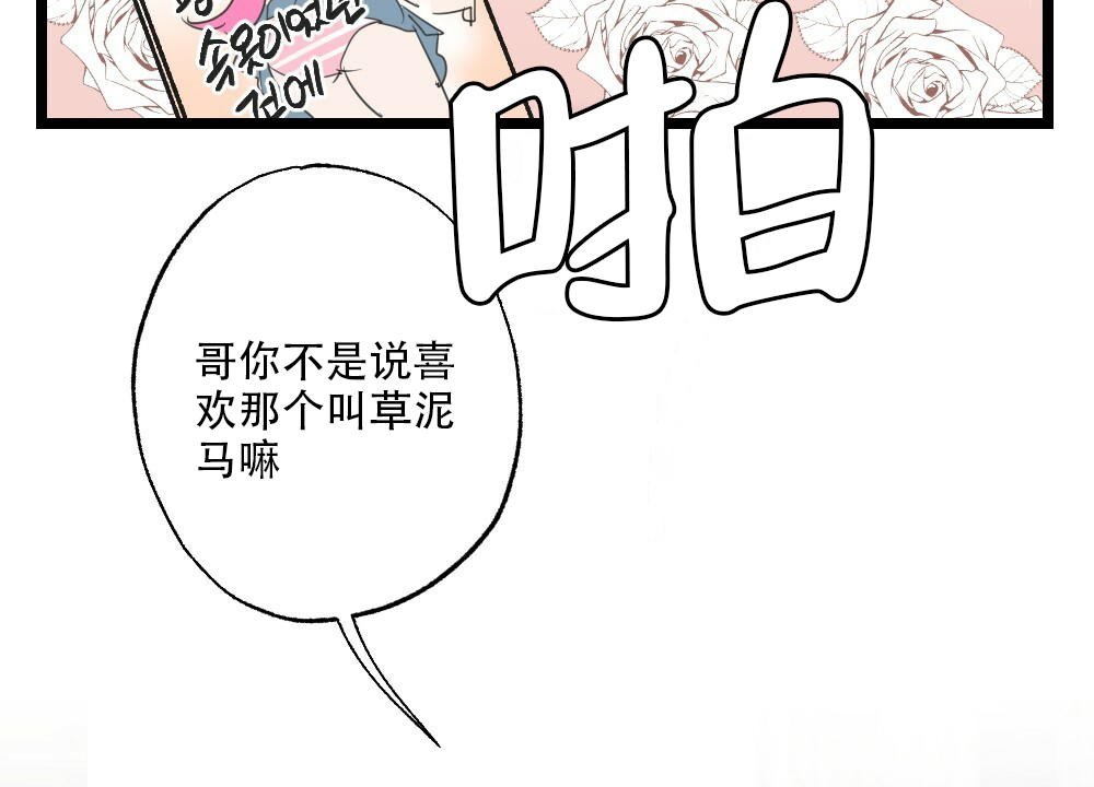 《月刊美少年》漫画最新章节第39话免费下拉式在线观看章节第【13】张图片