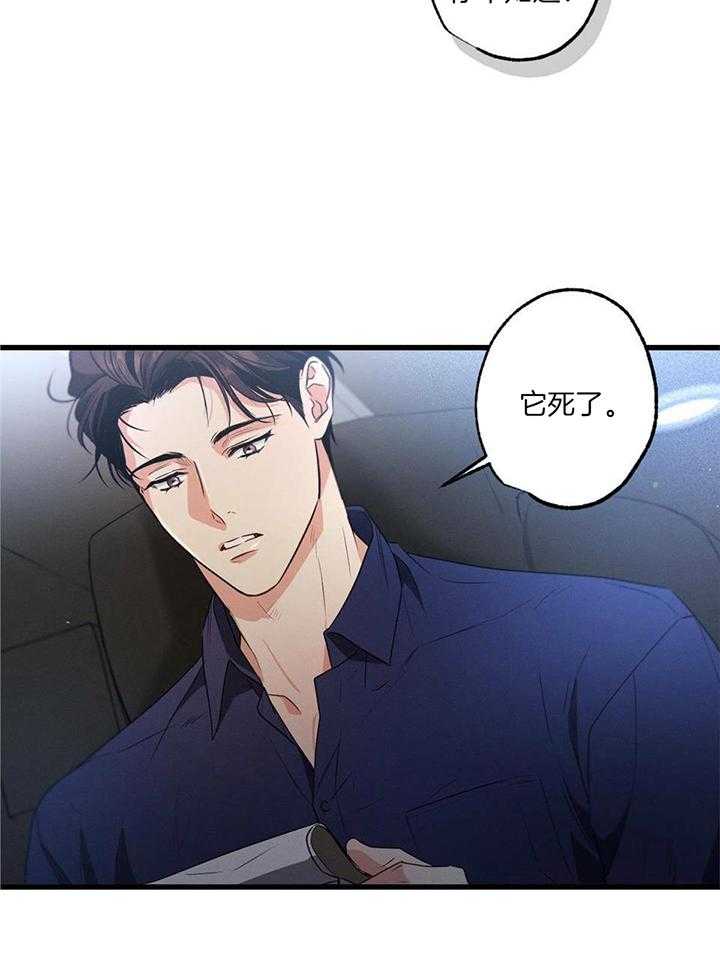 《别有用心的恋爱史》漫画最新章节第113话免费下拉式在线观看章节第【18】张图片