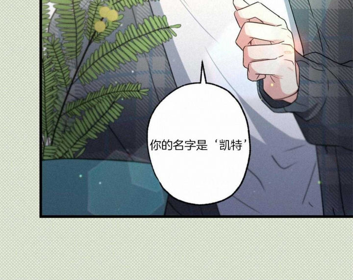 《别有用心的恋爱史》漫画最新章节第61话免费下拉式在线观看章节第【14】张图片