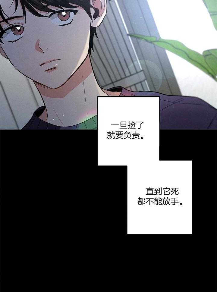 《别有用心的恋爱史》漫画最新章节第88话免费下拉式在线观看章节第【4】张图片