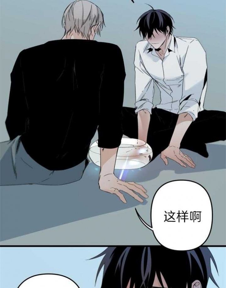 《臣服关系（第I+II 季)》漫画最新章节第155话免费下拉式在线观看章节第【6】张图片