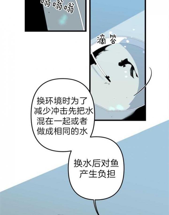 《臣服关系（第I+II 季)》漫画最新章节第155话免费下拉式在线观看章节第【5】张图片