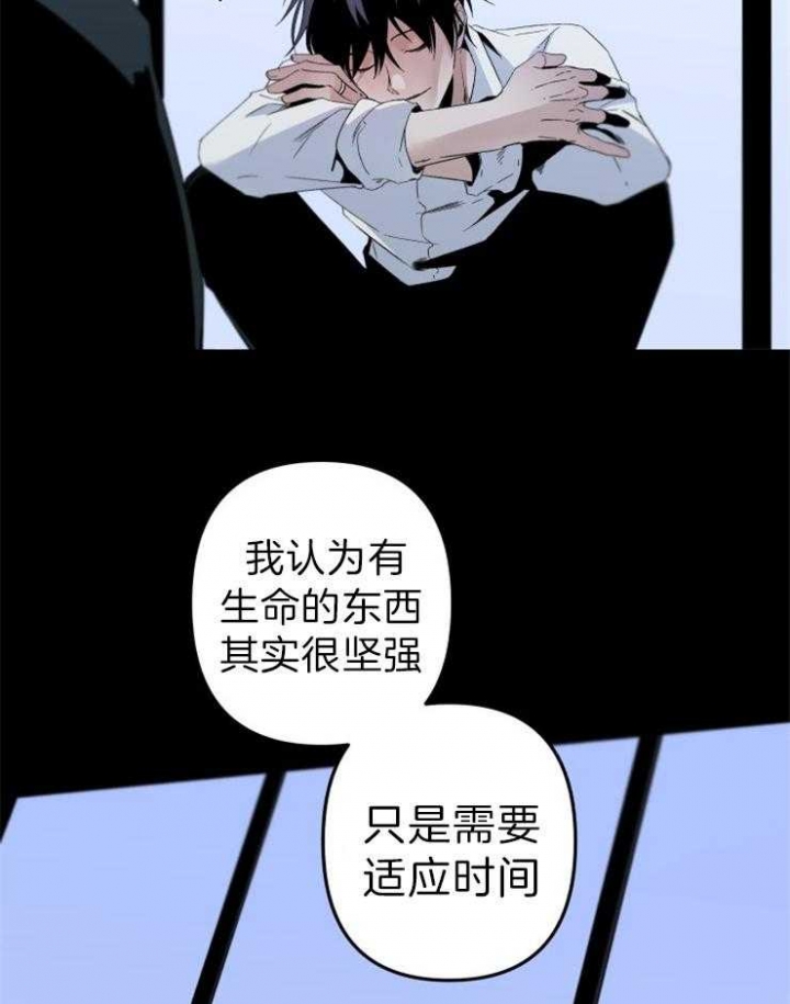 《臣服关系（第I+II 季)》漫画最新章节第155话免费下拉式在线观看章节第【15】张图片