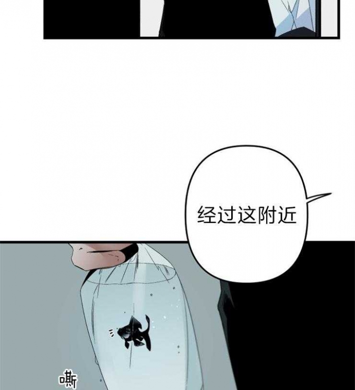 《臣服关系（第I+II 季)》漫画最新章节第155话免费下拉式在线观看章节第【2】张图片