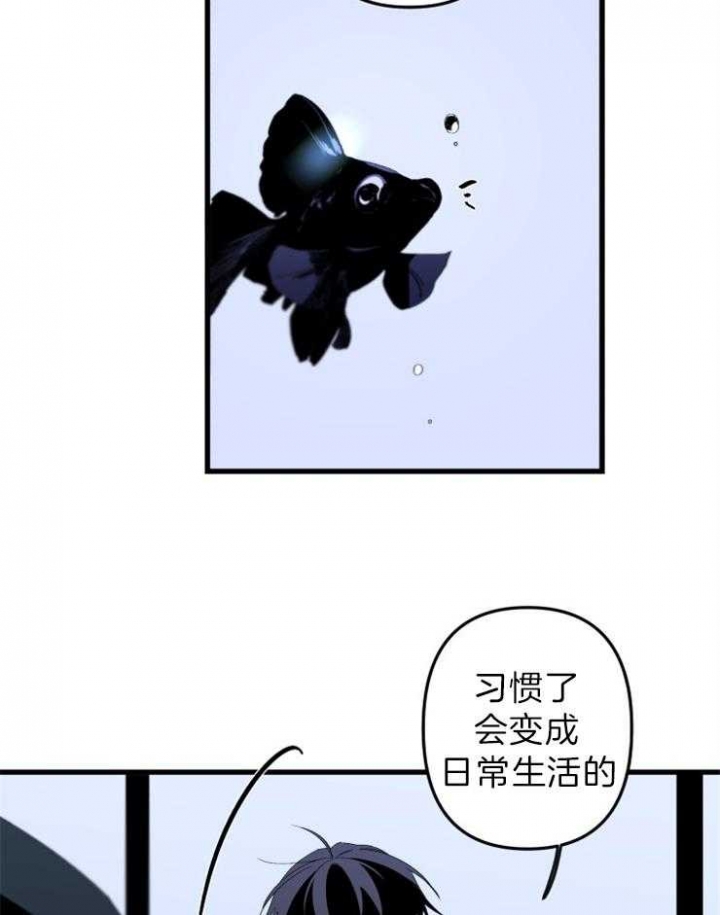 《臣服关系（第I+II 季)》漫画最新章节第155话免费下拉式在线观看章节第【14】张图片