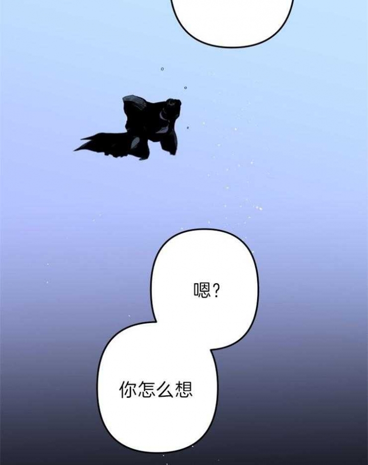 《臣服关系（第I+II 季)》漫画最新章节第157话免费下拉式在线观看章节第【30】张图片