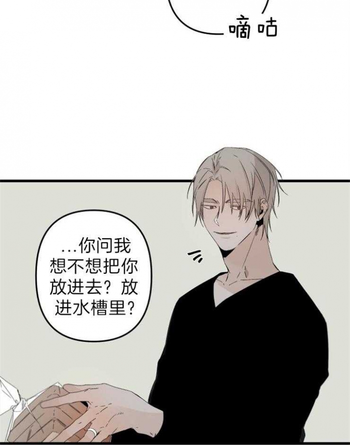 《臣服关系（第I+II 季)》漫画最新章节第156话免费下拉式在线观看章节第【5】张图片