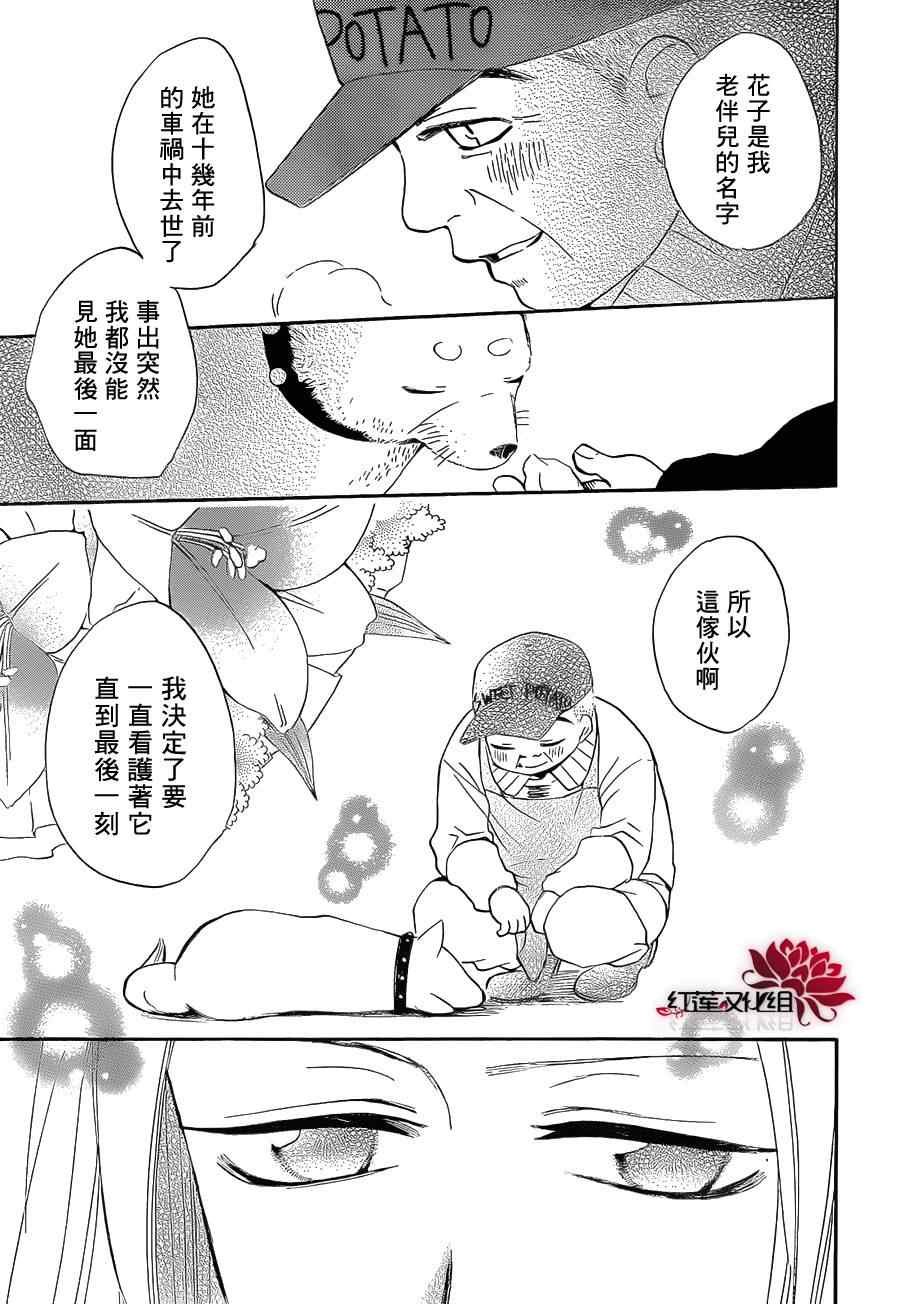 《元气少女缘结神》漫画最新章节第72话免费下拉式在线观看章节第【24】张图片