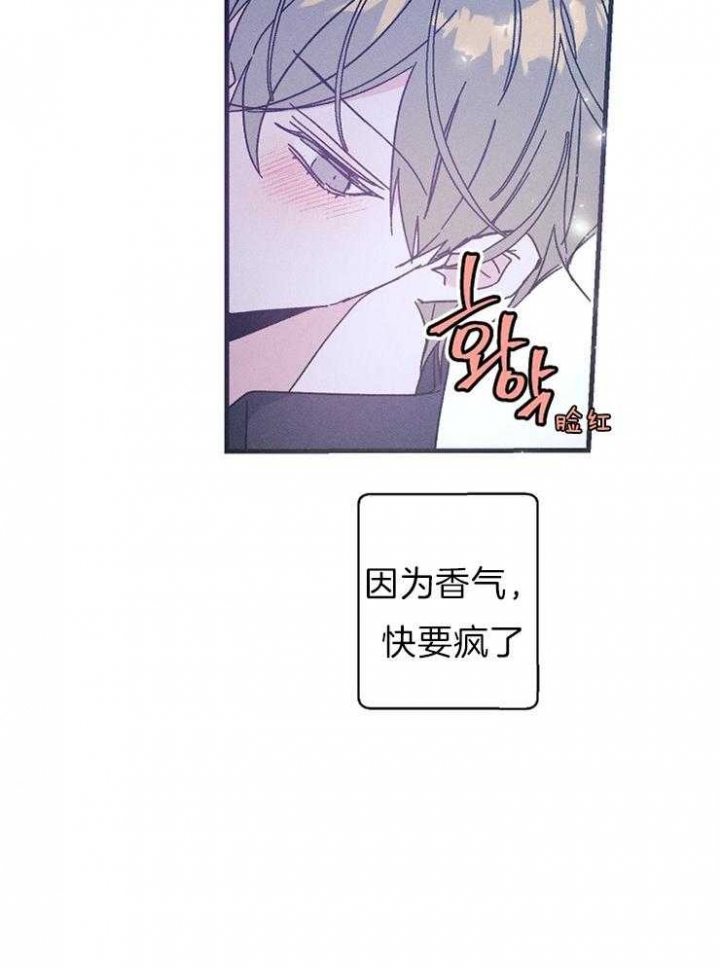 《代号：迷雾》漫画最新章节第57话免费下拉式在线观看章节第【14】张图片