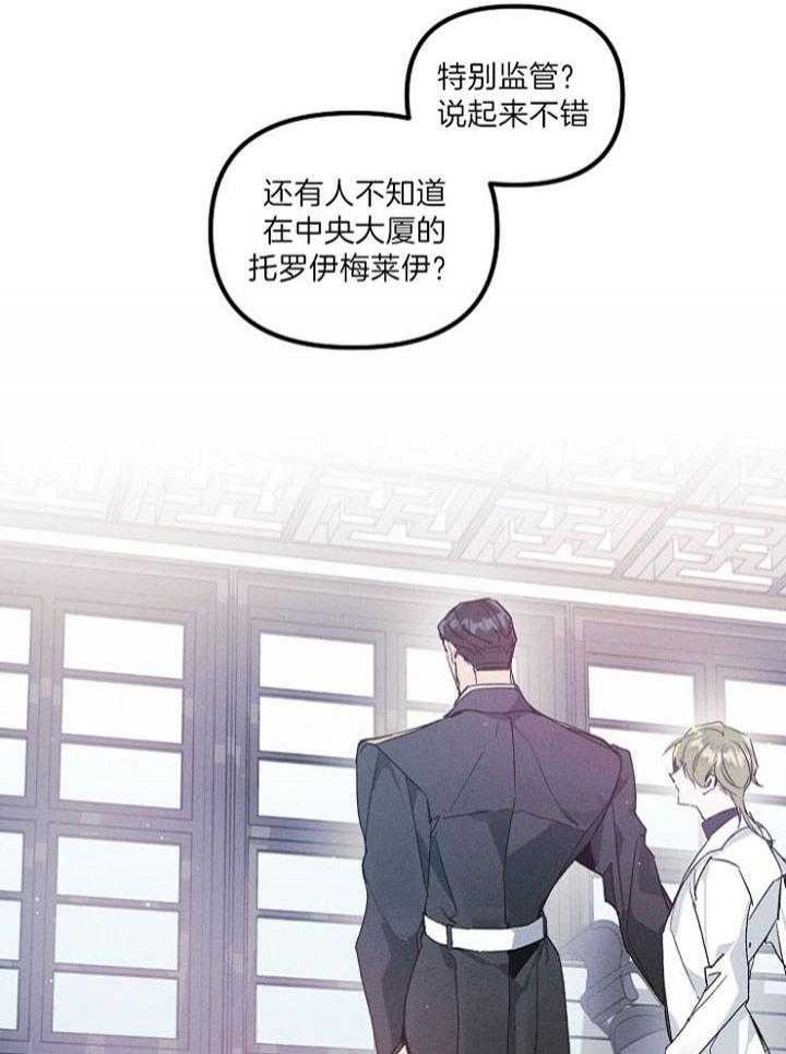 《代号：迷雾》漫画最新章节第66话免费下拉式在线观看章节第【6】张图片