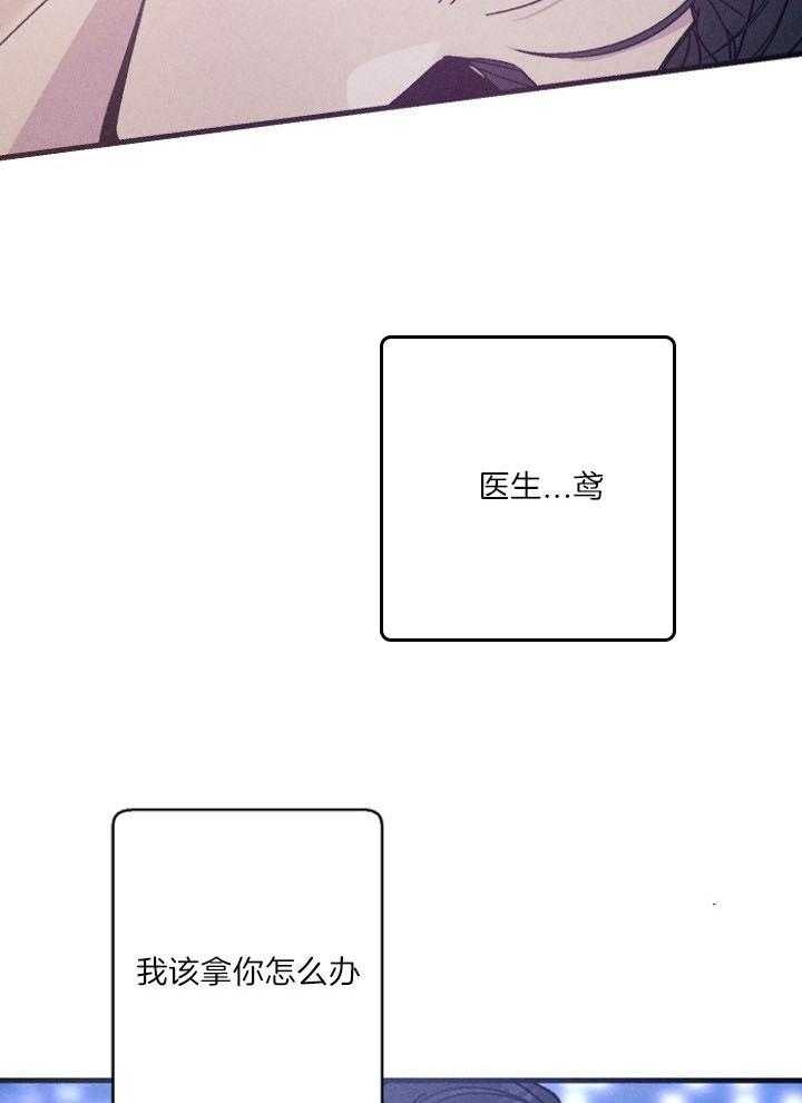 《代号：迷雾》漫画最新章节第62话免费下拉式在线观看章节第【17】张图片