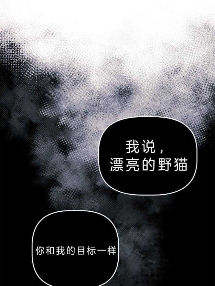 《代号：迷雾》漫画最新章节第54话免费下拉式在线观看章节第【11】张图片