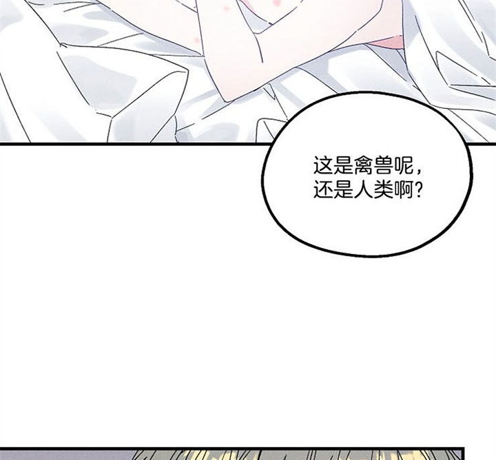 《代号：迷雾》漫画最新章节第46话免费下拉式在线观看章节第【8】张图片