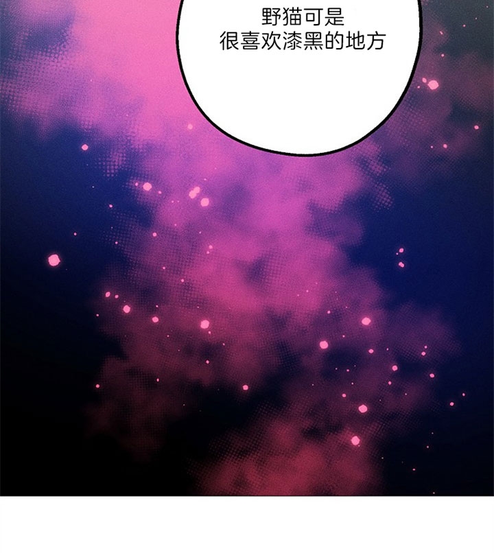 《代号：迷雾》漫画最新章节第53话免费下拉式在线观看章节第【41】张图片