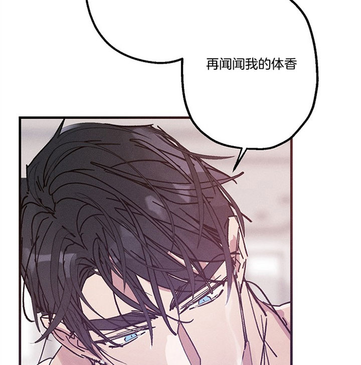 《代号：迷雾》漫画最新章节第29话免费下拉式在线观看章节第【13】张图片