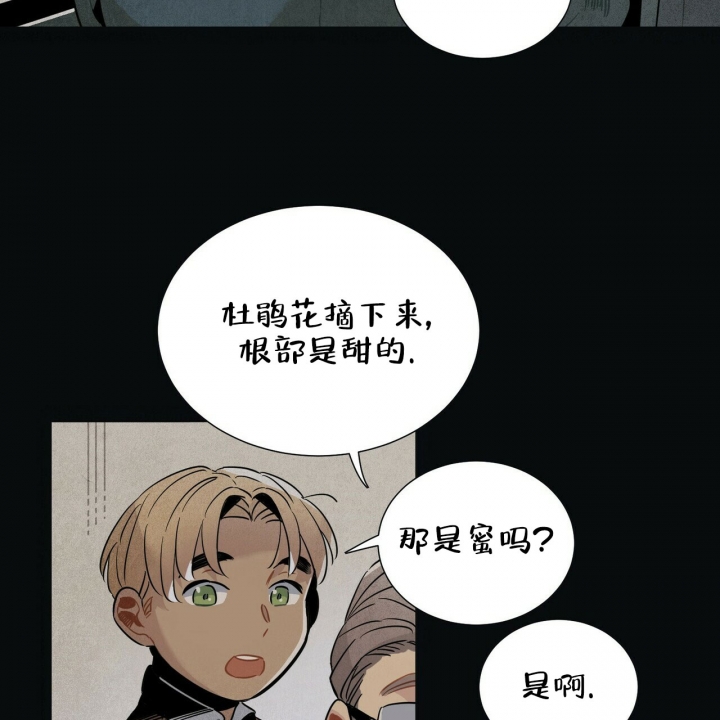 《帕卢斯酒店》漫画最新章节第3话免费下拉式在线观看章节第【3】张图片
