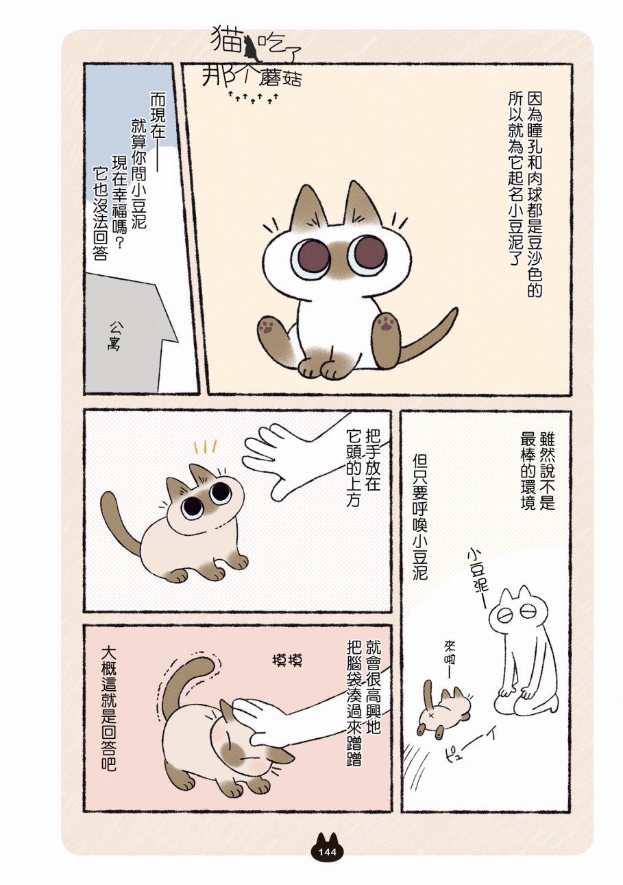 《小豆泥是世界的中心》漫画最新章节第8.2话免费下拉式在线观看章节第【5】张图片