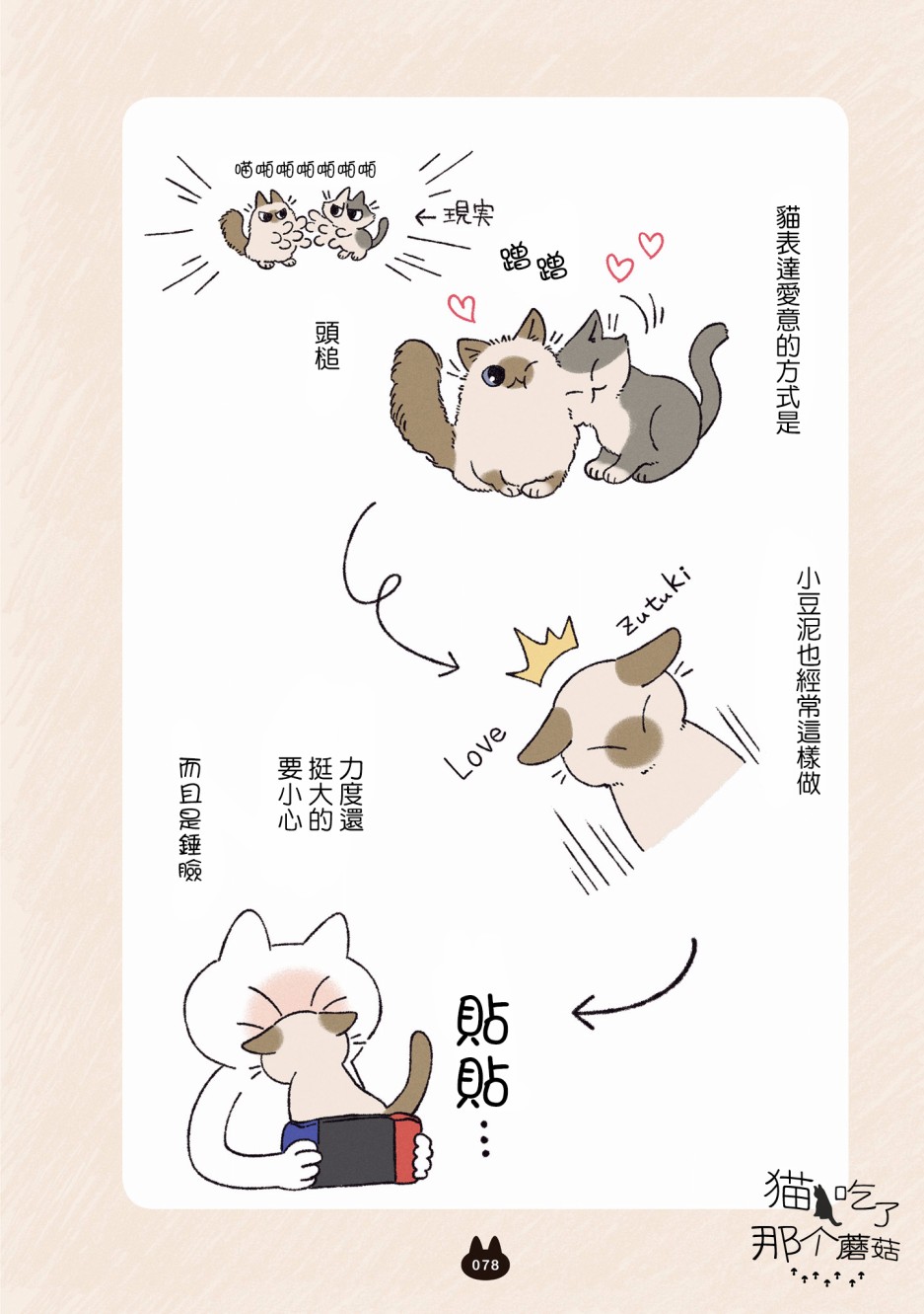 《小豆泥是世界的中心》漫画最新章节第5.1话免费下拉式在线观看章节第【7】张图片