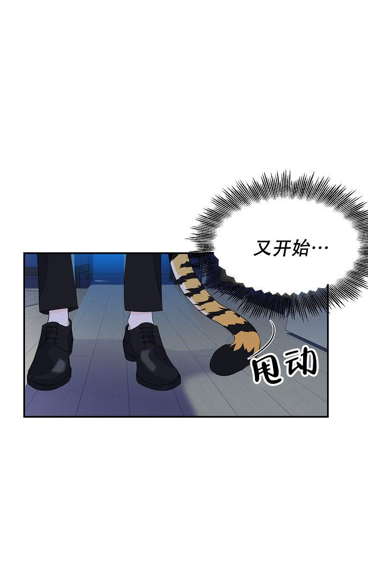 《老虎花》漫画最新章节第6话免费下拉式在线观看章节第【3】张图片