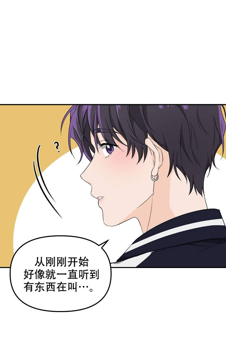 《老虎花》漫画最新章节第1话免费下拉式在线观看章节第【17】张图片