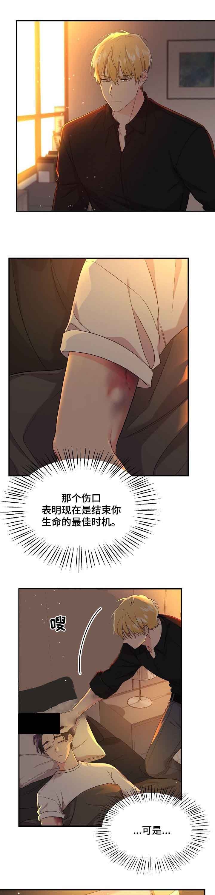 《老虎花》漫画最新章节第53话免费下拉式在线观看章节第【4】张图片