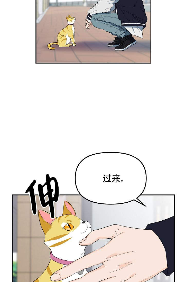 《老虎花》漫画最新章节第1话免费下拉式在线观看章节第【25】张图片