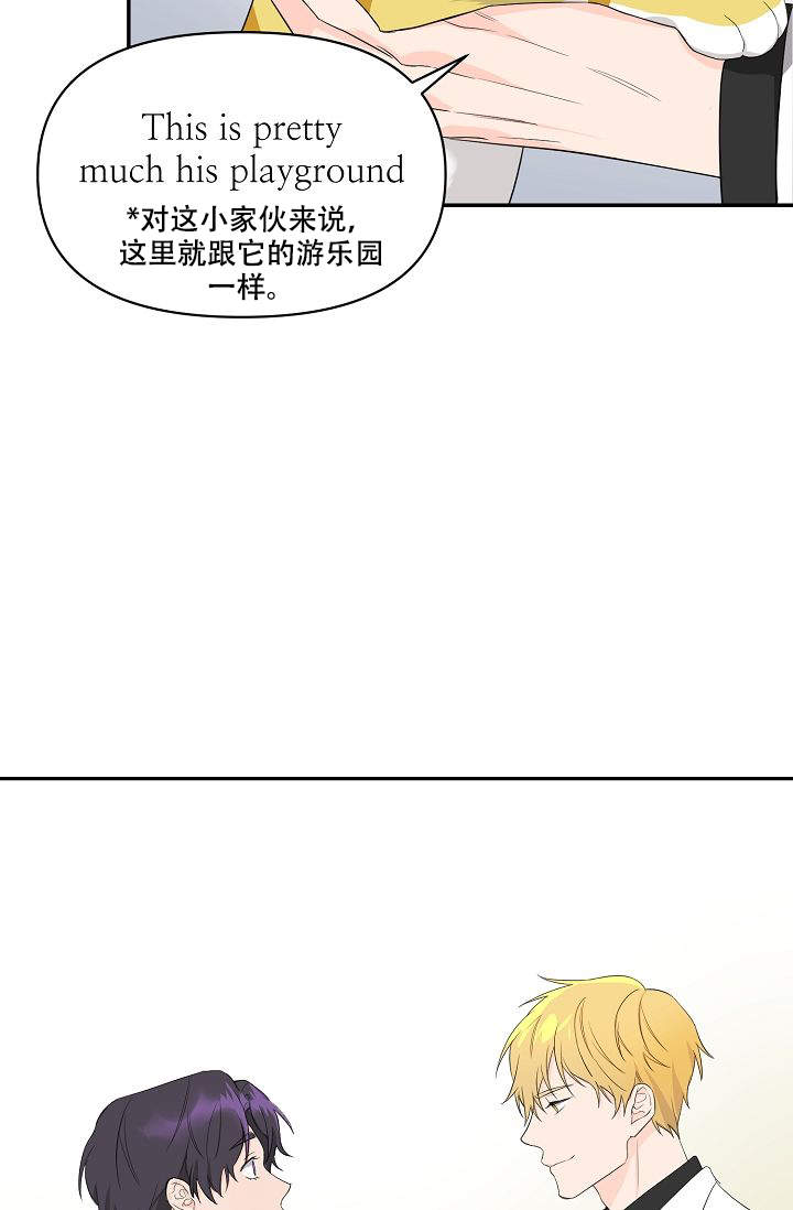 《老虎花》漫画最新章节第2话免费下拉式在线观看章节第【6】张图片