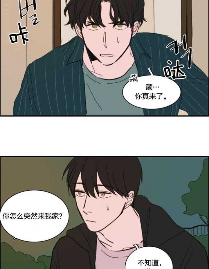 《可疑的食谱》漫画最新章节第55话免费下拉式在线观看章节第【13】张图片