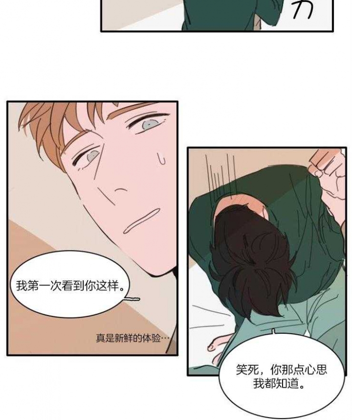 《可疑的食谱》漫画最新章节第52话免费下拉式在线观看章节第【3】张图片