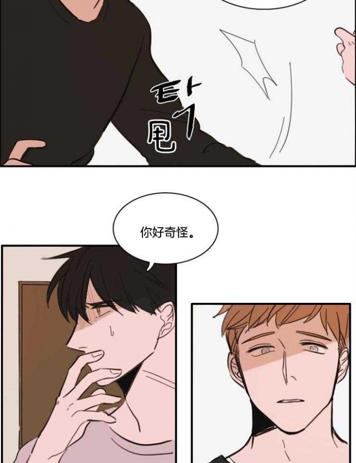 《可疑的食谱》漫画最新章节第55话免费下拉式在线观看章节第【8】张图片