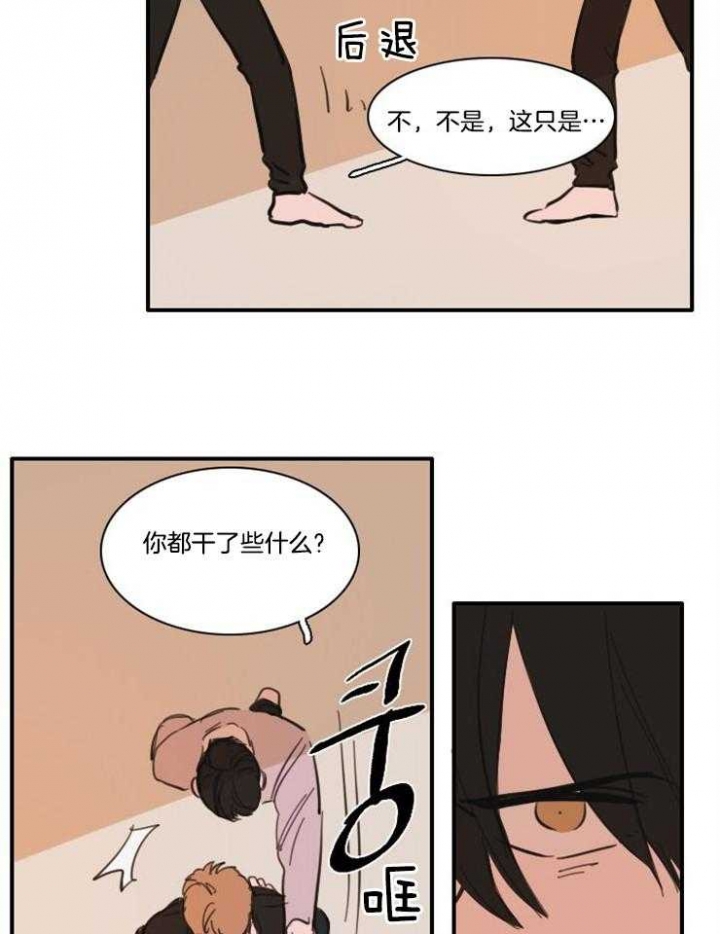 《可疑的食谱》漫画最新章节第55话免费下拉式在线观看章节第【4】张图片