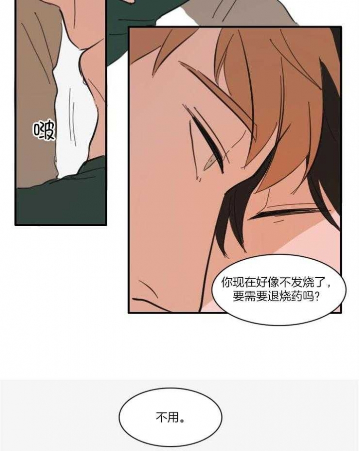 《可疑的食谱》漫画最新章节第52话免费下拉式在线观看章节第【12】张图片