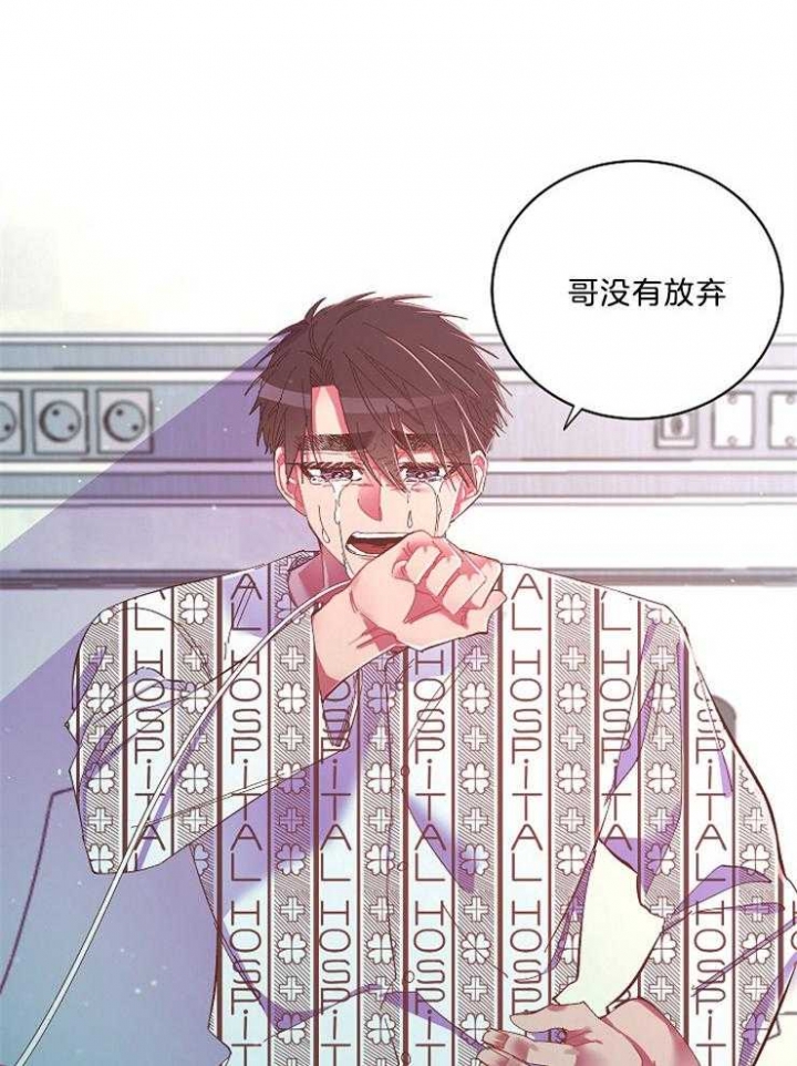 《掌心之花》漫画最新章节第50话免费下拉式在线观看章节第【5】张图片