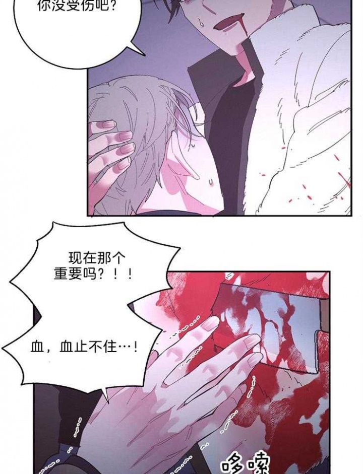 《掌心之花》漫画最新章节第46话免费下拉式在线观看章节第【14】张图片