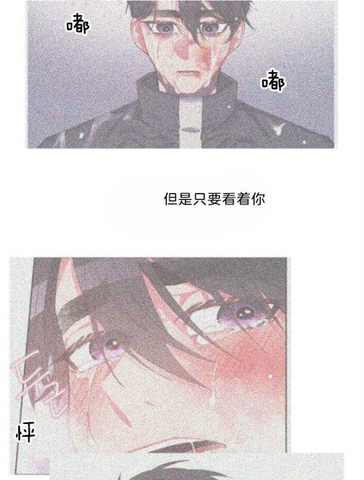 《掌心之花》漫画最新章节第41话免费下拉式在线观看章节第【19】张图片