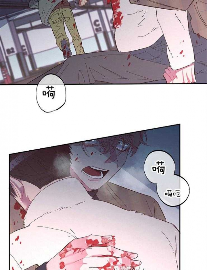 《掌心之花》漫画最新章节第46话免费下拉式在线观看章节第【25】张图片